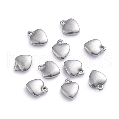 Non-Tarnish 304 Stainless Steel Charms STAS-G236-01P-B-1
