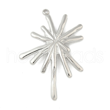 304 Stainless Steel Pendants STAS-L293-09B-P-1