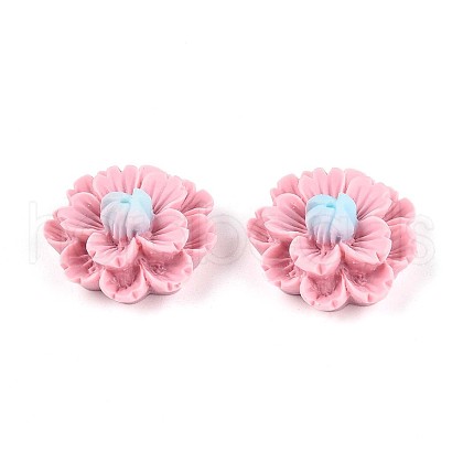 Resin Decoden Cabochons CRES-T025-04E-1