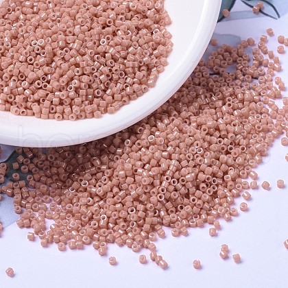 MIYUKI Delica Beads SEED-X0054-DB1363-1