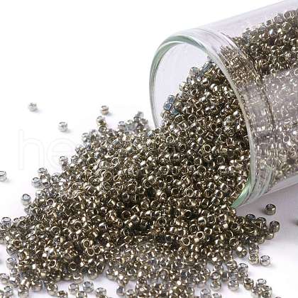 TOHO Round Seed Beads SEED-JPTR15-0204-1
