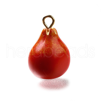 Brass Acrylic Pendants OACR-R006-04G-01-1