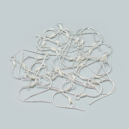 925 Sterling Silver Earring Hooks STER-T002-170S-1