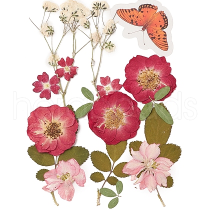 Pressed Dried Flowers DIY-YWC0001-98-1
