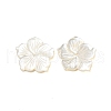 Natural White Shell Beads SHEL-M021-08C-1