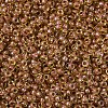 MIYUKI Round Rocailles Beads X-SEED-G007-RR0345-4