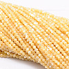 Natural Sea Shell Round Bead Strands SSHEL-M013-2mm-02-1