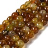 Dyed & Heated Natural Dragon Veins Agate Beads Strands G-P539-A01-26-1