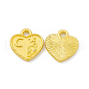 Rack Plating Alloy Charms FIND-G045-10MG-1