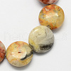 Flat Round Natural Crazy Lace Agate Beads Strands G-S110-05-1