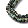Natural African Turquoise(Jasper) Beads Strands G-Z006-C40-4