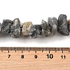 Natural Labradorite Beads Strands G-I283-F14-5