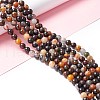 Natural Brecciated Jasper Beads Strands X-G-M381-01B-3