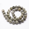 Natural Labradorite Bead Strands G-D840-64-12mm-2