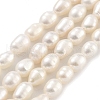 Natural Cultured Freshwater Pearl Beads Strands PEAR-P062-09B-2