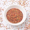 MIYUKI Delica Beads X-SEED-J020-DB2063-2