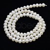 Natural Cultured Freshwater Pearl Beads Strands PEAR-L001-F-13-3