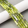 Natural Xiuyan Jade Beads Strands G-L624-G05-12x5mm-1