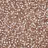 TOHO Round Seed Beads X-SEED-TR11-0031F-2