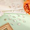 Preciosa® MAXIMA Crystal Fancy Stones X-PRC-FD12-00030-200-2