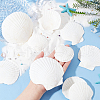   20Pcs 4 Style Natural Scallop Shells SSHEL-PH0001-23-3