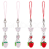 4Pcs 2 Style Glass & Acrylic Mobile Straps HJEW-DR00055-1