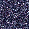 MIYUKI Delica Beads X-SEED-J020-DB0134-3