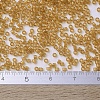 MIYUKI Delica Beads SEED-X0054-DB0119-3