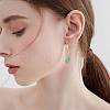 6 Pair 6 Style Natural Mixed Gemstone Nuggets Dangle Hoop Earrings EJEW-AB00050-6
