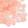 Frosted Transparent Acrylic Beads OACR-P029-04B-03-2