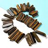 Natural Tiger Eye Beads Strands G-L551B-07-2