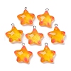 Marine Series Transparent Resin Pendants RESI-E031-02P-05-5
