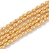 Electroplated Shell Pearl Beads Strands BSHE-Z009-10B-01-2