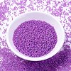 MIYUKI Delica Beads SEED-J020-DB2049-2