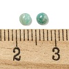 Natural Amazonite Cabochons G-Q173-01A-04-3