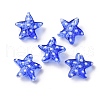 Handmade Lampwork Beads Strands LAMP-I027-09H-2