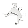 Non-Tarnish 304 Stainless Steel Pendants STAS-E205-11P-2