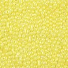 Baking Paint Glass Seed Beads SEED-L011-09A-20-3