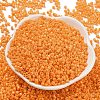 Baking Paint Glass Seed Beads SEED-S042-05A-30-2