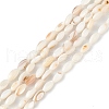Natural Freshwater Shell Dyed Beads Strands SHEL-M018-13-13-2