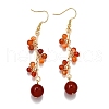 Natural Carnelian Earrings Dangle Earrings EJEW-TA00653-01-2