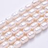  2 Strands Natural Cultured Freshwater Pearl Beads Strands PEAR-NB0001-10-8