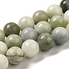 Natural Jade Beads Strands G-H298-A16-05-1