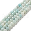 Natural Amazonite Beads Strands G-E571-38-1