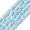 Natural White Jade Chip Beads Strands G-G905-02-2
