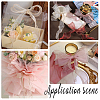 Polyester Organza Ribbons SRIB-WH20020-003B-01-5