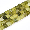 Natural Xiuyan Jade Beads Strands G-N346-05A-08-2
