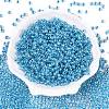 6/0 Transparent Inside Colours Glass Seed Round Beads X1-SEED-N006-004D-2