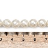 Shell Pearl Beads Strands PEAR-XCP0001-12-5