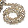 Natural Grey Agate Bead Strands G-R346-4mm-27-2